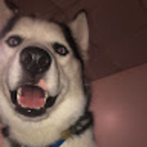 Meet your Posher, Jordan